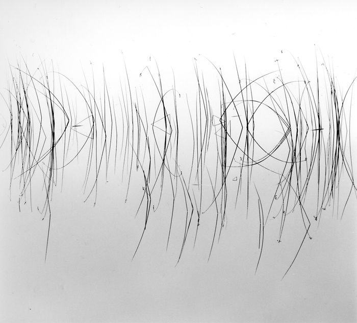 22.  Reeds, near Ullapool,  Scotland