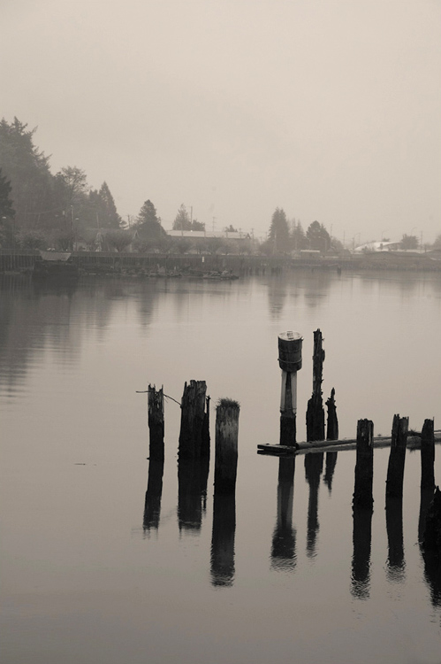 06   Grays Harbour from Hoquiam, Washington
